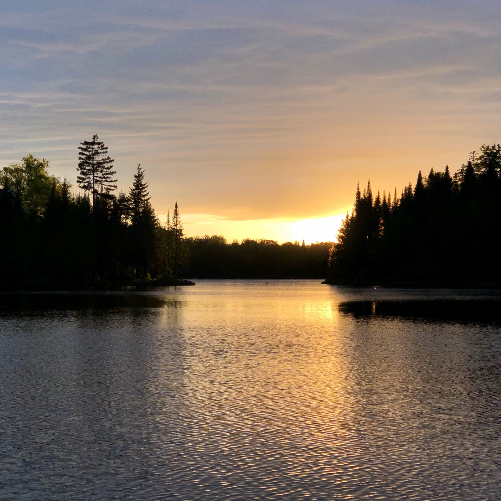 The One That Got Away.