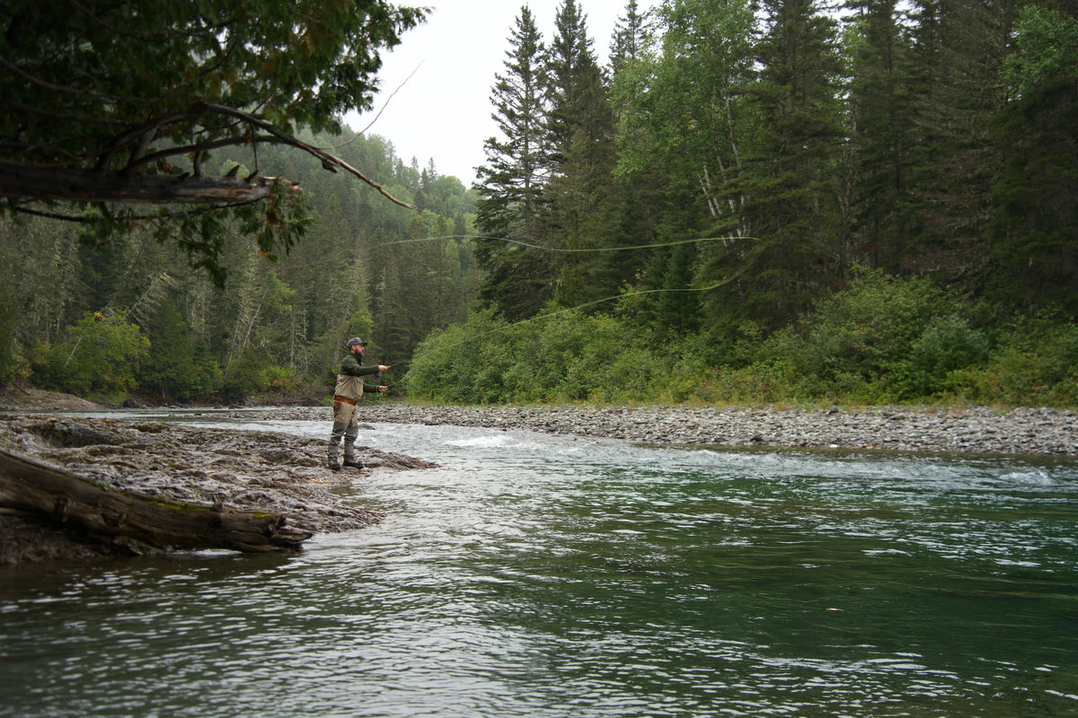 Two Days Chasing Atlantic Salmon in Gaspésie
