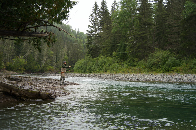Two Days Chasing Atlantic Salmon in Gaspésie