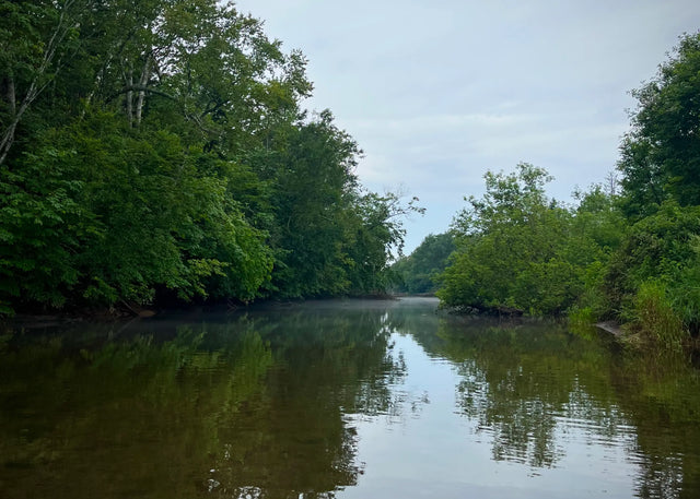 Casting Away Worries: An Escape to the Riverbank