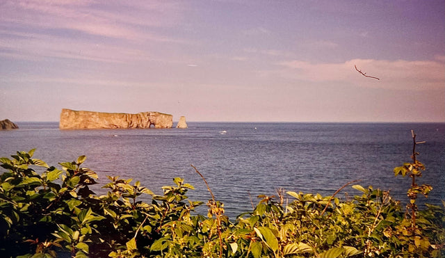 Childhood Souvenirs to Treasured Memories