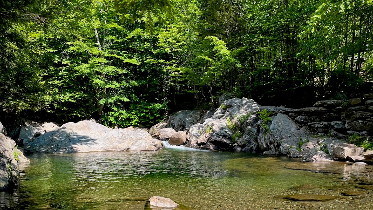 Whispers in the Woods: A Fishing Trip to Remember