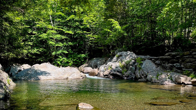 Whispers in the Woods: A Fishing Trip to Remember