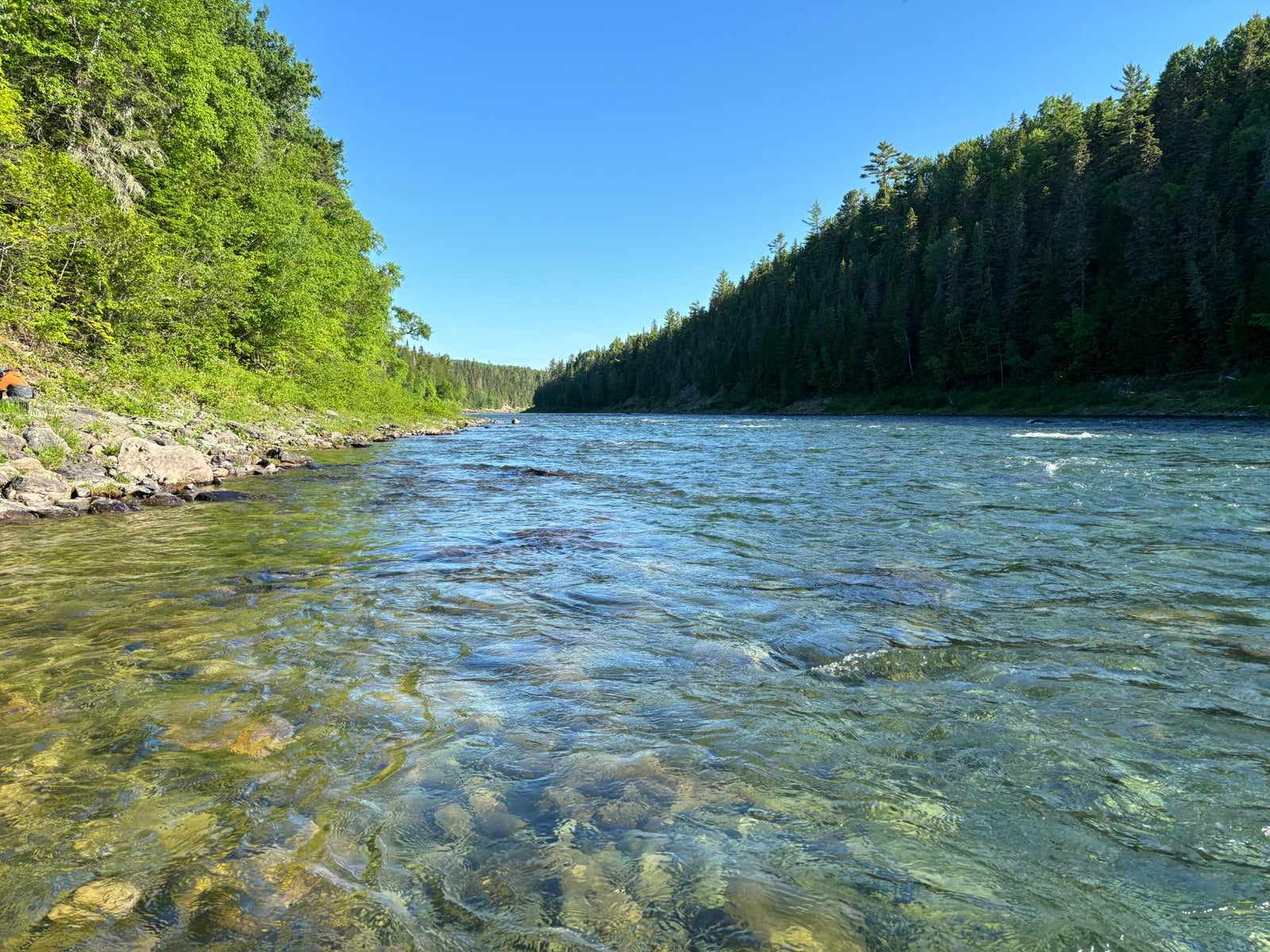 Salmon Fishing Adventure on the Bonaventure River
