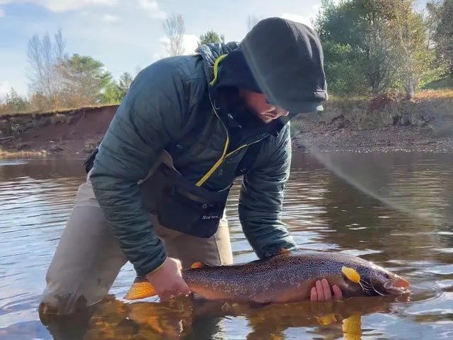 In Debt To The Fish