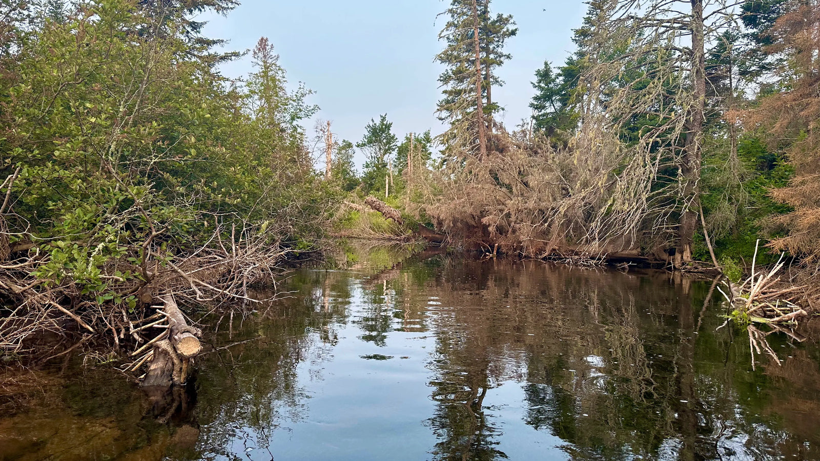 A Day on the Morell River — PEI Fishing at Its Finest