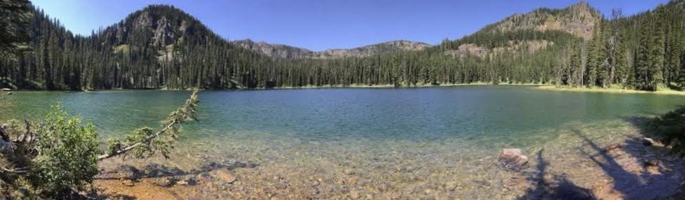 The Sasquatch Encounter