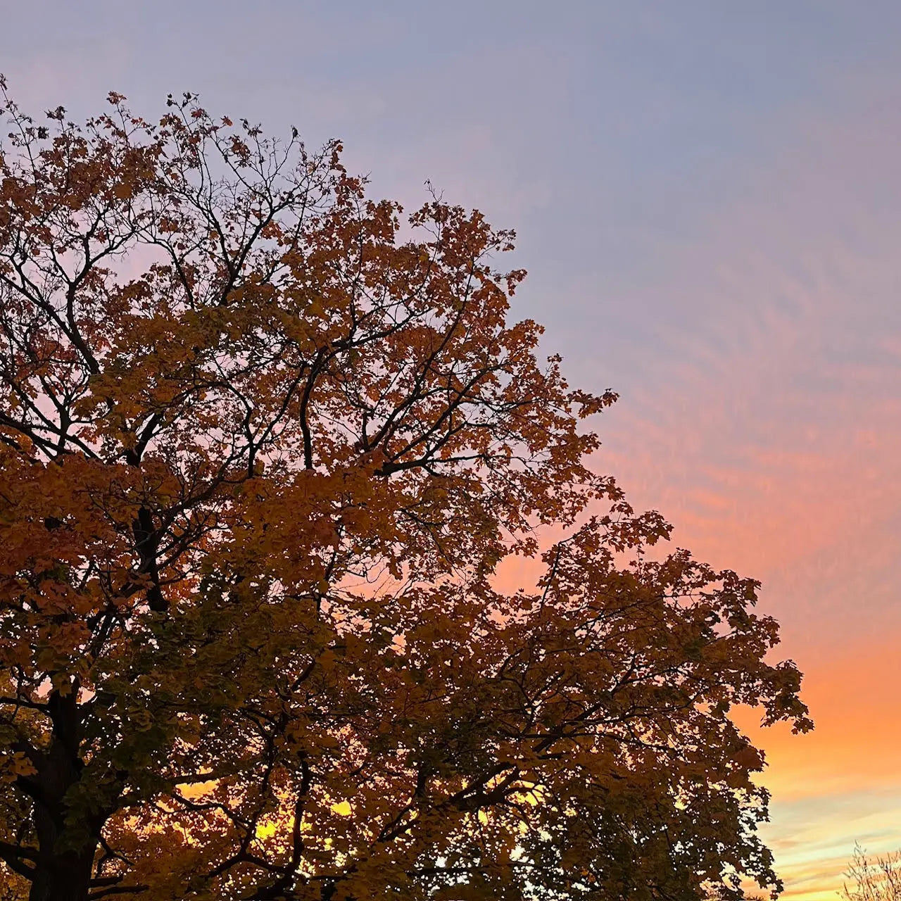 Why Fall is the Best Season: Crisp Air, Cozy Sweaters and Last Casts!