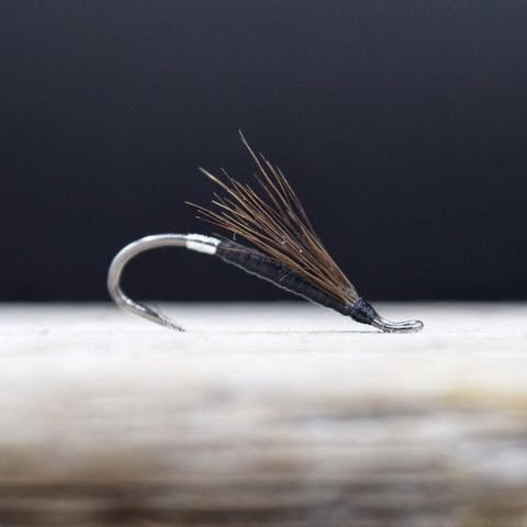 Black Silver Tip