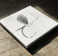 Impressions sur toile à mouche limitées (tirage limité à 25 exemplaires).