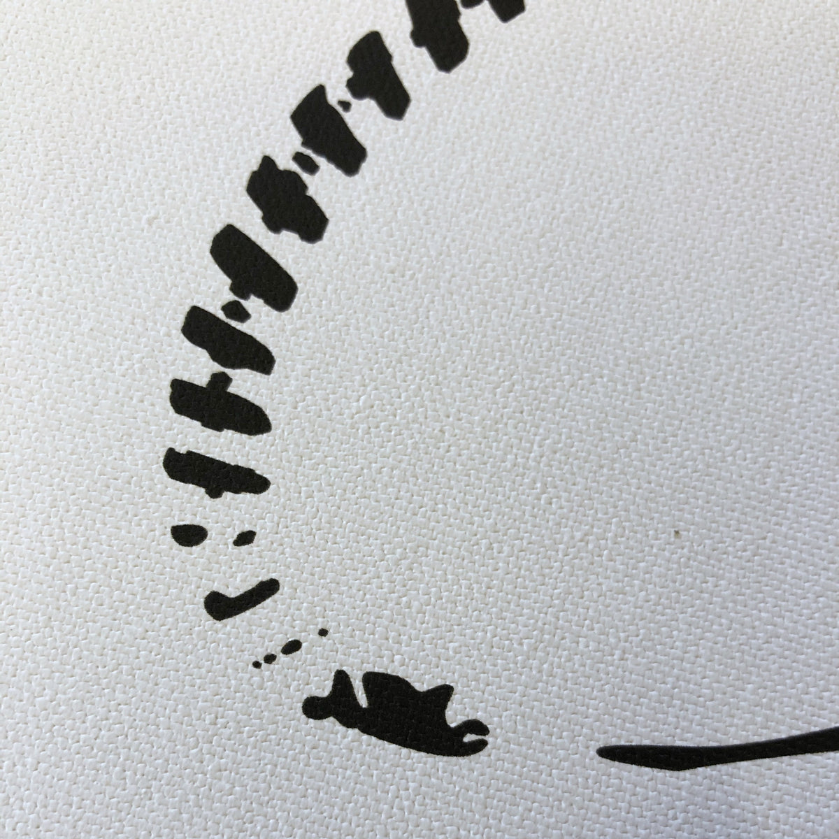Impressions sur toile à mouche limitées (tirage limité à 25 exemplaires).